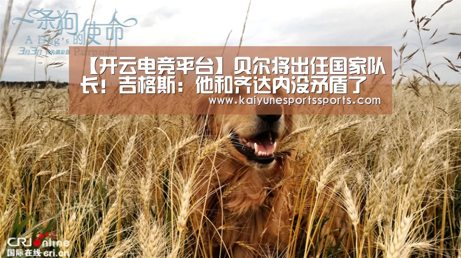 【开云电竞平台】贝尔将出任国家队长!吉格斯:他和齐达内没矛盾了(图2) 开云电竞官网